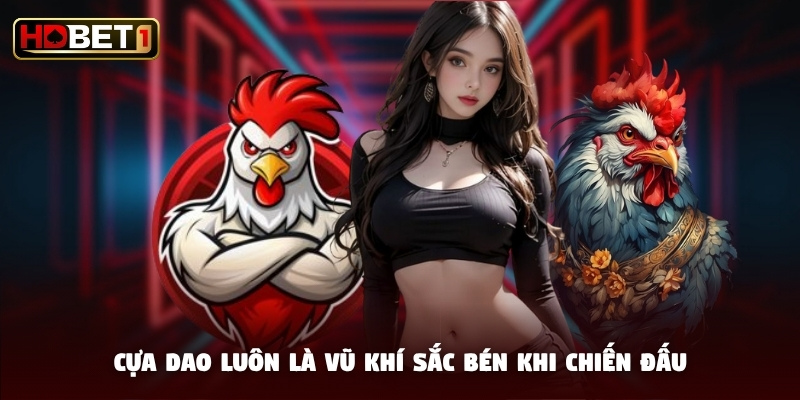 Cựa dao luôn là vũ khí sắc bén khi chiến đấu