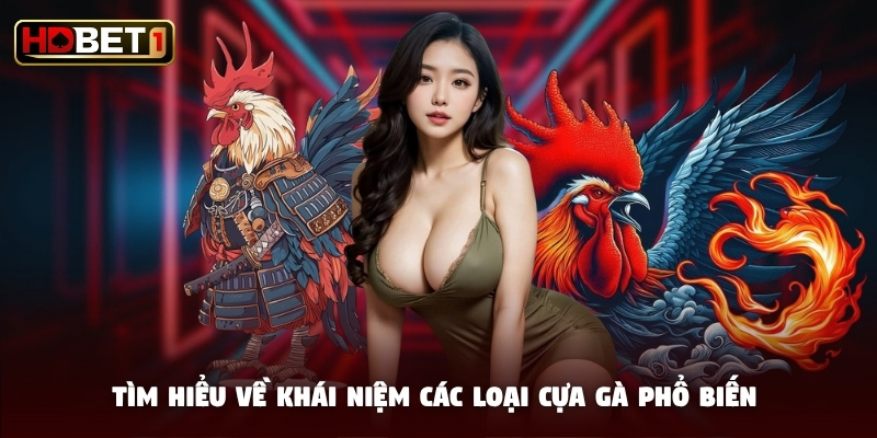 Tìm hiểu về khái niệm các loại cựa gà phổ biến