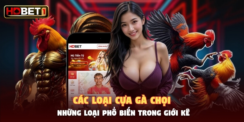 Các Loại Cựa Gà Chọi - Những Loại Phổ Biến Trong Giới Kê