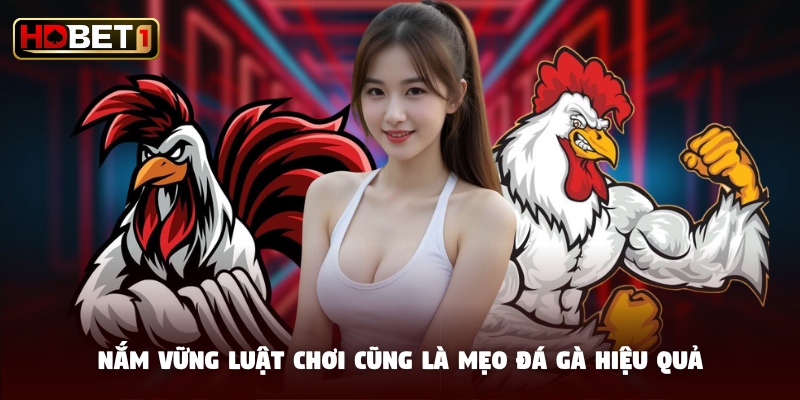 Nắm vững luật chơi cũng là mẹo đá gà hiệu quả
