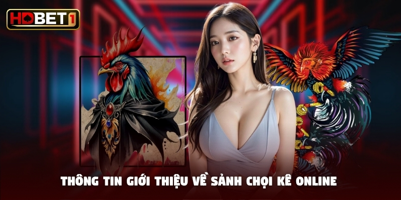 Thông tin giới thiệu về sảnh chọi kê online 