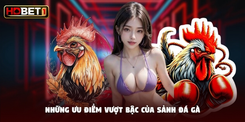 Những ưu điểm vượt bậc của sảnh đá gà