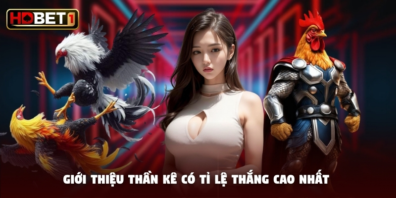Giới thiệu thần kê có tỉ lệ thắng cao nhất Giới thiệu thần kê có tỉ lệ thắng cao nhất