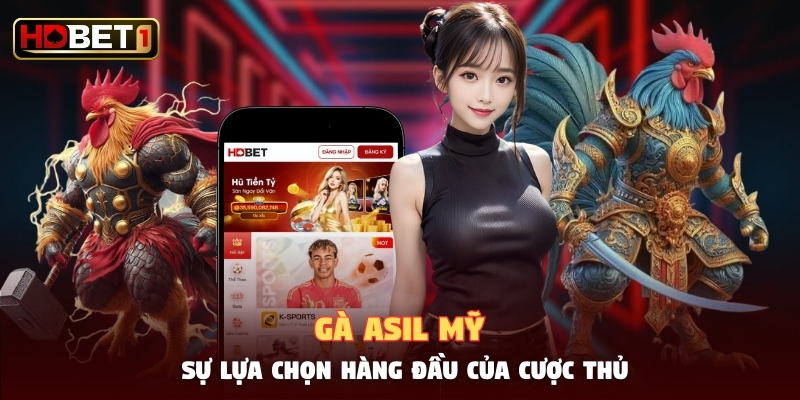 Gà Asil Mỹ - Sự Lựa Chọn Hàng Đầu Của Cược Thủ