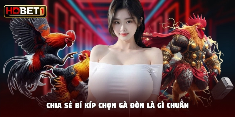 Chia sẻ bí kíp chọn gà đòn là gì chuẩn Chia sẻ bí kíp chọn gà đòn là gì chuẩn
