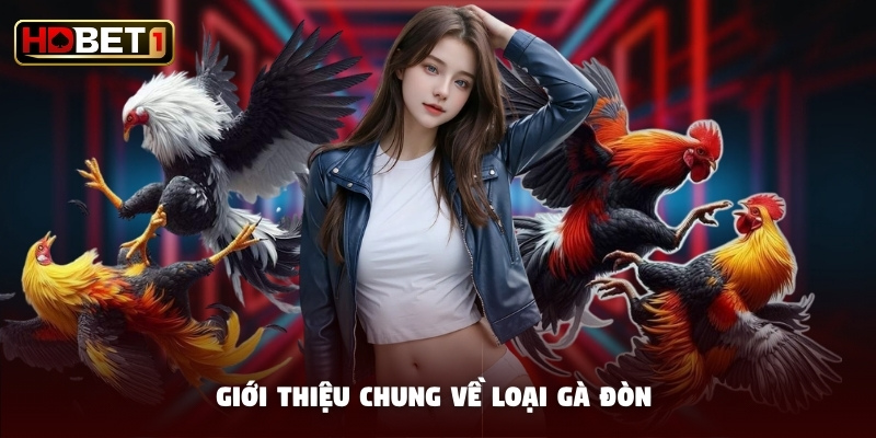 Giới thiệu chung về loại gà đòn Giới thiệu chung về loại gà đòn