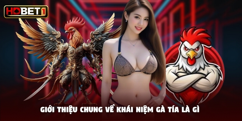 Giới thiệu chung về khái niệm gà tía là gì Giới thiệu chung về khái niệm gà tía là gì