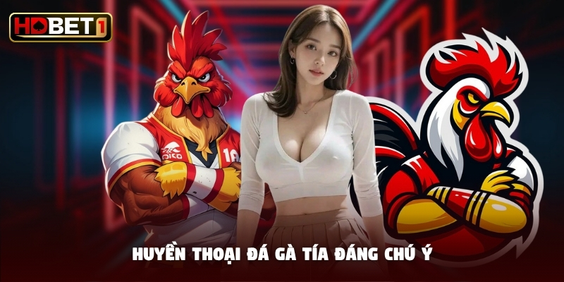 Huyền thoại đá gà tía đáng chú ý Huyền thoại đá gà tía đáng chú ý