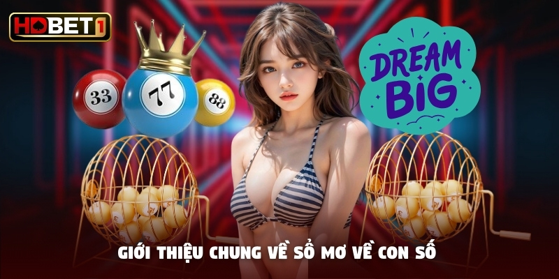 Giới thiệu chung về sổ mơ về con số