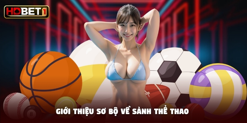 Giới thiệu sơ bộ về sảnh thể thao