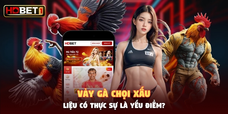 Vảy Gà Chọi Xấu - Liệu Có Thực Sự Là Yếu Điểm?