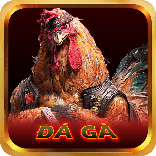 hdbet đá gà